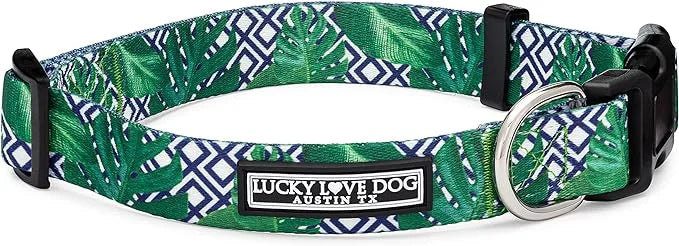 Lucky Love Dog Collar, Beautiful & Vivid Pattern Medium Boy Dog Collars, Easy On & Off Clasp Accessory (Blue Laguna, M) - ...