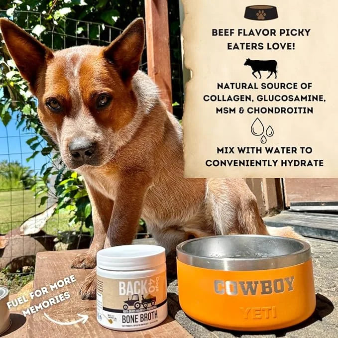 Grass-Fed Beef Bone Broth Powder for Dogs with Probiotics, Chondroitin & Glucosamine – Supports Gut Health, Joint & Immune...