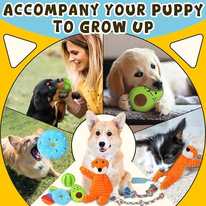Zeaxuie 9 Pack Luxury Puppy Toys for Teething Small Dogs, Puppy Chew Toys with Cute Squeaky Dog Toys, Ball and More Rope D...