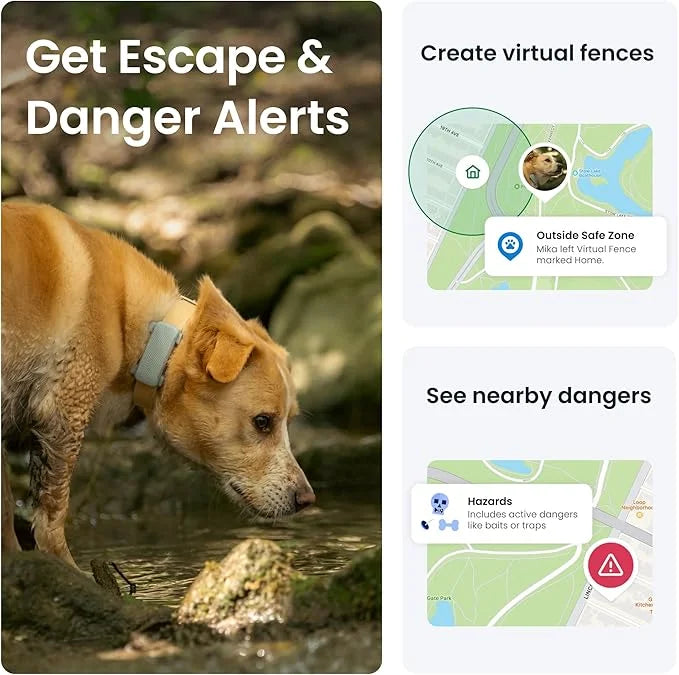 Tractive GPS Dog Tracker (2025 Release with Free 6 Month Subscription) | Real-time Pet Location Tracker | Health & Wellnes...