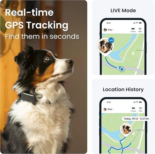 Tractive GPS Dog Tracker (2025 Release) | Real-time Pet Location Tracker | Health & Wellness Alerts | Virtual Fence for Do...