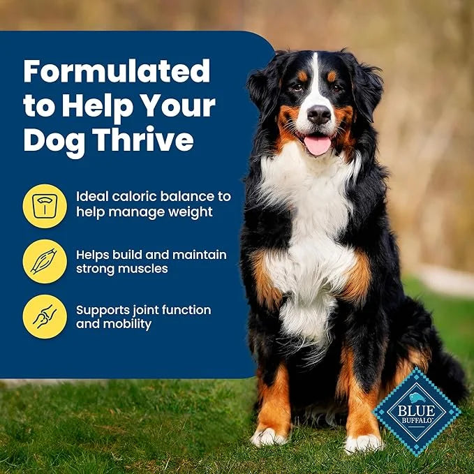 Blue Buffalo Life Protection Formula Healthy Weight Adult Dry Dog Food, Supports an Ideal Weight, Made with Natural Ingred...