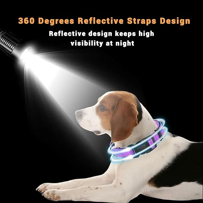 2 Pack Reflective Dog Collar with Safety Locking Buckle, Adjustable Soft Breathable Comfortable Nylon Pet Collar for Small...