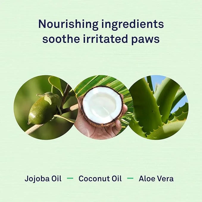 Petpost | Paw Wipes for Dogs - Nourishing, Revitalizing Dog Paw Cleaner with Coconut Oil, Jojoba Oil, and Aloe - Ultra Sof...