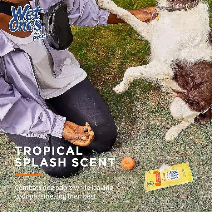 Wet Ones Mixed 13 Piece Bundle of Human & Pet Wet Wipes, Tropical Splash Scent| 10 Packs Antibacterial Wipes, 20 Ct Plus 3...