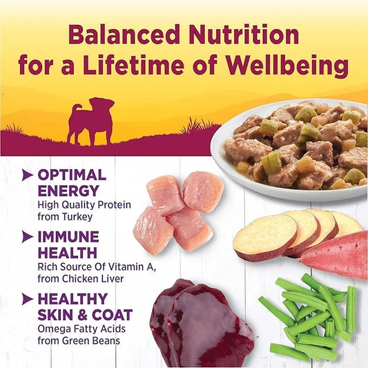 Wellness Natural Pet Food Petite Entrees Mini Fillets Natural Wet Small Breed Dog Food, Tender Turkey, Green Beans & White...