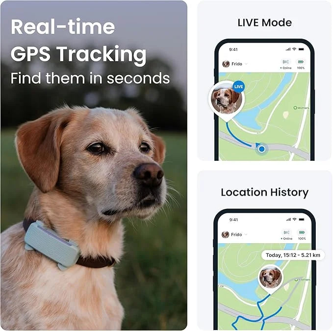 Tractive GPS Dog Tracker (2025 Release with Free 6 Month Subscription) | Real-time Pet Location Tracker | Health & Wellnes...
