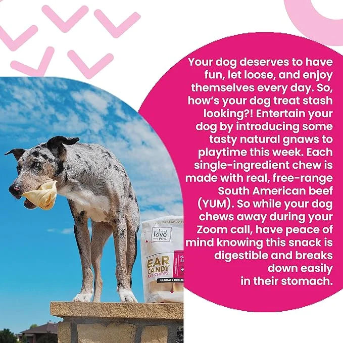 I and love and you Ear Candy Cow Ear Chews - Beef - Rawhide Alternative, Single Ingredient, Free Range Grass Fed Beef, 5ct...
