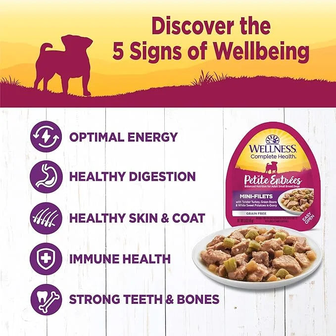 Wellness Natural Pet Food Petite Entrees Mini Fillets Natural Wet Small Breed Dog Food, Tender Turkey, Green Beans & White...
