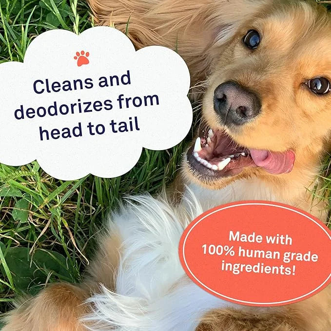 Petpost | Grooming Wipes for Dogs - Large, Deodorizing Wipes with Cherry Blossom Scent - 70 Ultra Soft Cotton Pads in Clea...