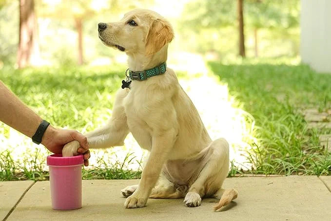 Dexas Pink Medium Dog Paw Cleaner, MudBuster - Premium Quality Pet Supplies and Dog Accessories for Dogs, Easy to Use, Mes...