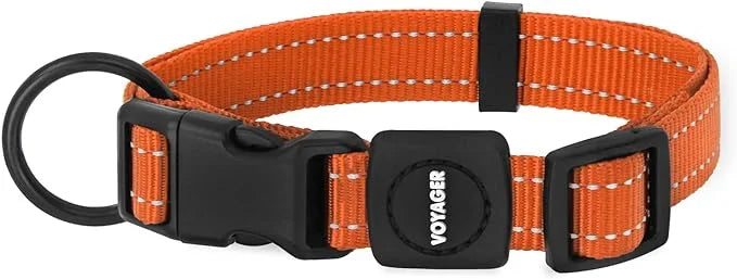 Best Pet Supplies Reflective Dog Collar with Adjustable Length, Heavy-Duty Buckle, and Strong Leash D-Ring, Training, Walk...