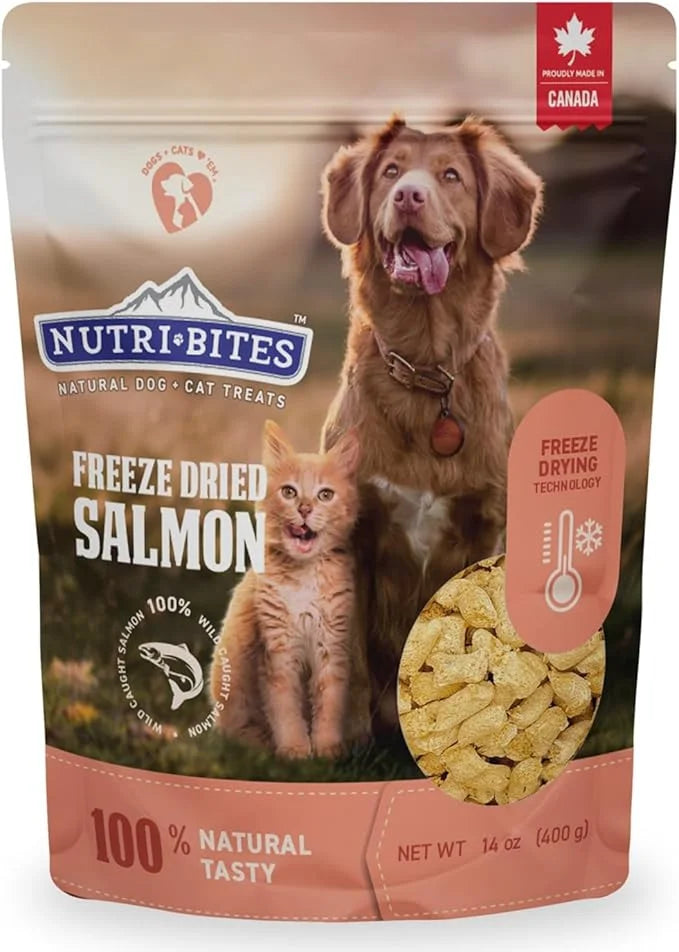 NutriBites Freeze Dried Salmon Dog & Cat Treats | Healthy Pet Training Treats or Food Topper | All Natural, 1 Single Anima...