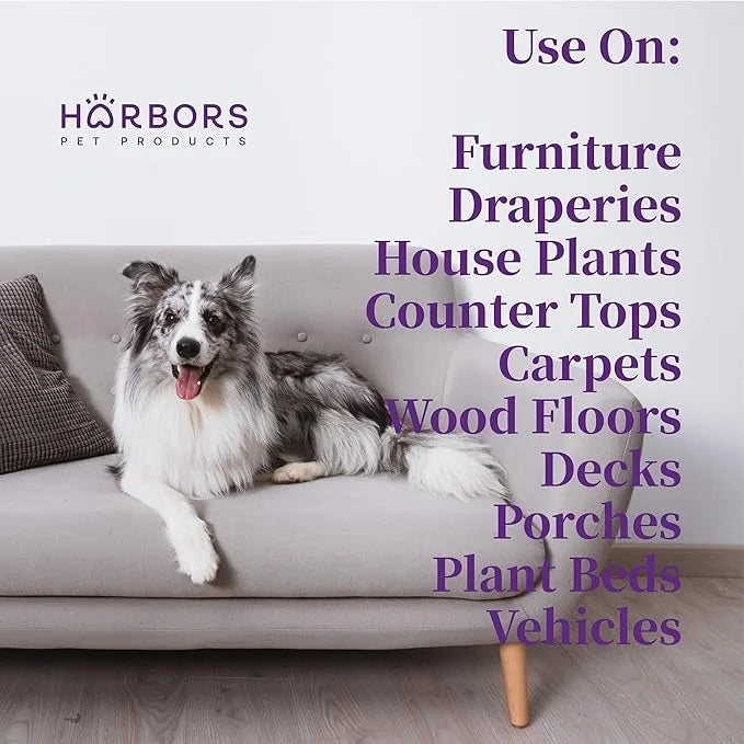 Harbor's Orange Deodorizer and Pet Stench Eliminator. Removes Dog & Cat Urine. Cleans Rugs, Furniture, and Mattresses with...