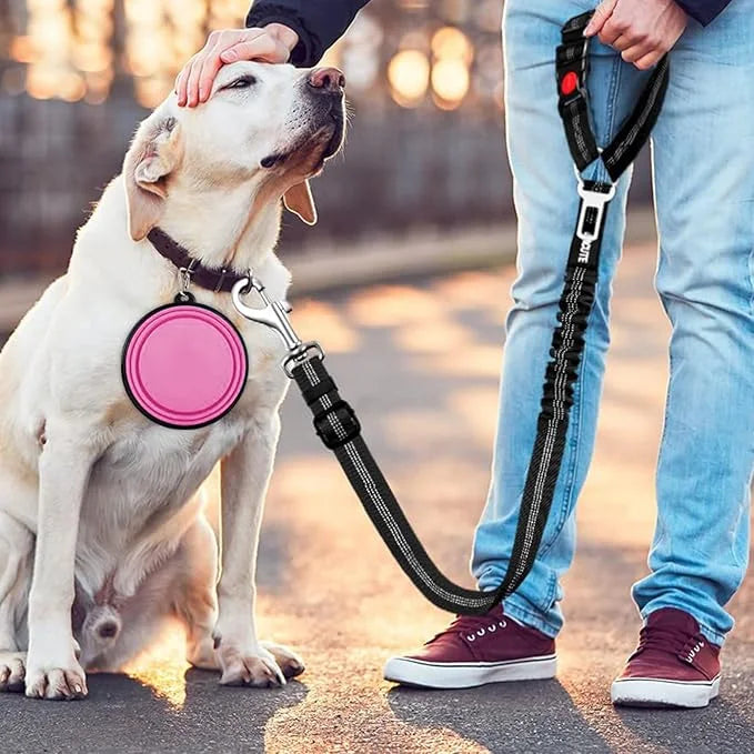4-in-1 Removable Dog Seat Belt for Car: Adjustable Pet Car Harness, Retractable Dog Car Harness Seatbelt with Poop Bag and...