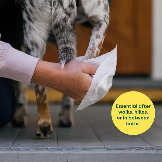 Earth Rated Pet Grooming Wipes for Dogs and Cats, Hypoallergenic, Cleaning and Hydrating, for Paws, Body and Butt, Unscent...