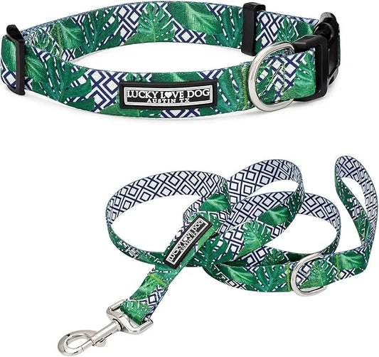 Lucky Love Dog Collar and Leash Set, Beautiful & Vivid Patterns, Easy On & Off Clasp Accessory (Blue Laguna, M Combo) - Pr...