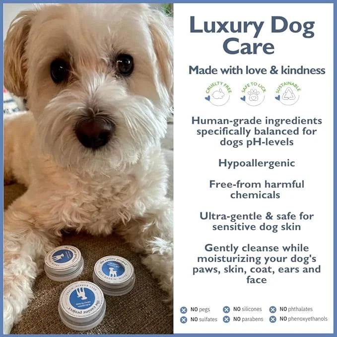 Best BARKIN' Wipes with Free Mesh Bag - Dog Wipes for Paws Ears and Butt - Micellar Aloe Scented Travel Friendly Puppy Wip...