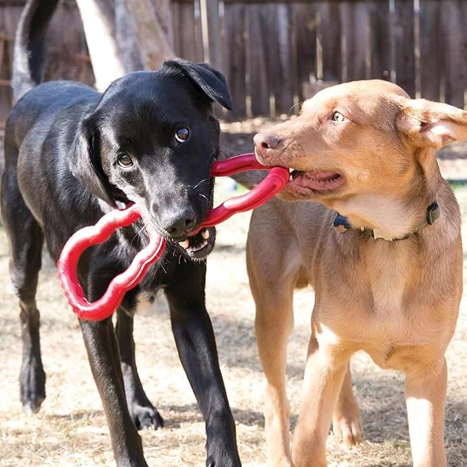 KONG Tug Toy - Dog Supplies for Tug of War - Natural Rubber Dog Toy for Outdoor & Indoor Playtime - for Medium/Large Dogs ...