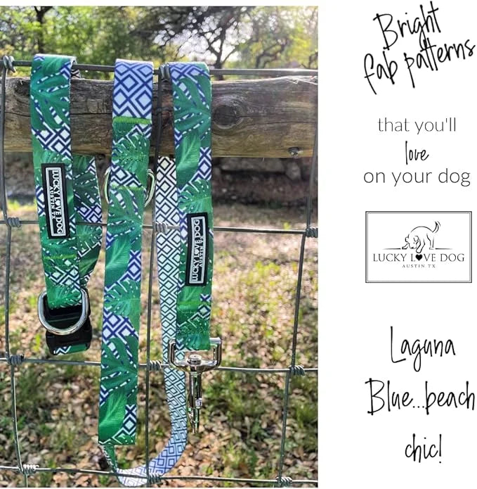 Lucky Love Dog Collar, Beautiful & Vivid Pattern Medium Boy Dog Collars, Easy On & Off Clasp Accessory (Blue Laguna, M) - ...