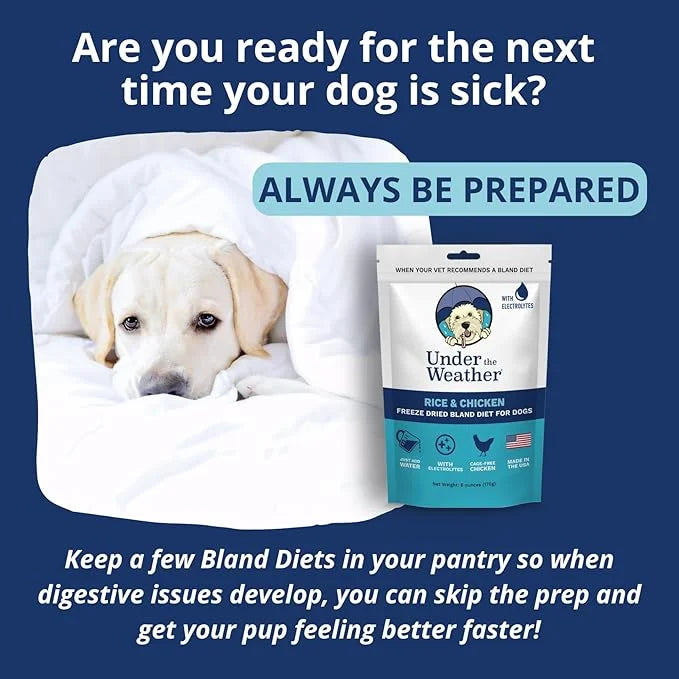 Under the Weather Bland Diet for Dogs | Easy to Digest for Sick Dogs | Always Be Ready | Contains Electrolytes - All Natur...