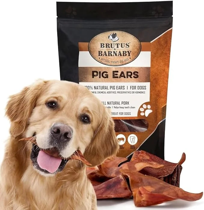 100% Natural Whole Pig Ear Dog Treat - 12 Pack Our Healthy Pig Ears Are Easy To Digest, Chemical & Hormone Free Thick Cut ...