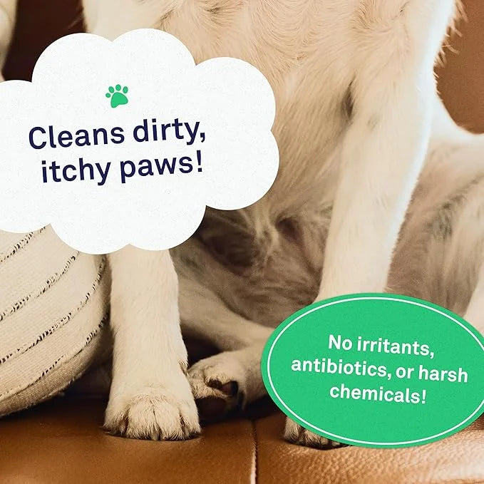 Petpost | Paw Wipes for Dogs - Nourishing, Revitalizing Dog Paw Cleaner with Coconut Oil, Jojoba Oil, and Aloe - Ultra Sof...