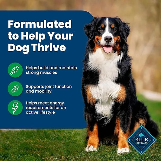 Blue Buffalo Life Protection Formula Adult Dry Dog Food, Helps Build and Maintain Strong Muscles, Made with Natural Ingred...