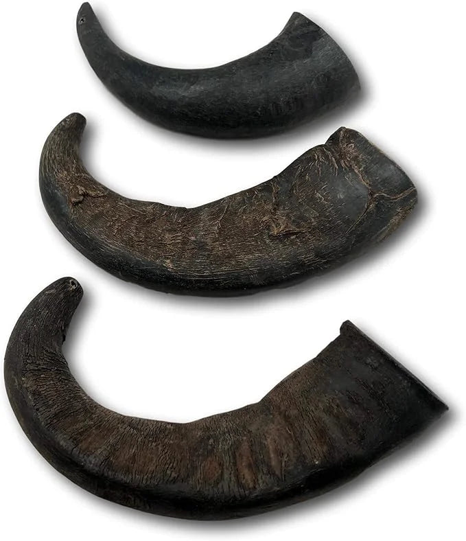 Top Dog Chews – Water Buffalo Horn, Long Lasting Dog Chew for Aggressive Chewers, All Natural, Dog Bone for Large & Medium...