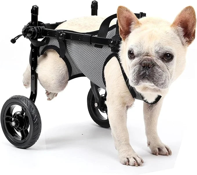 Small Dog Wheelchair for Back Legs, Light Weight Dog&Cat&Pets Wheelchair Cart with Disabled Hind Legs Walking, Adjustable ...