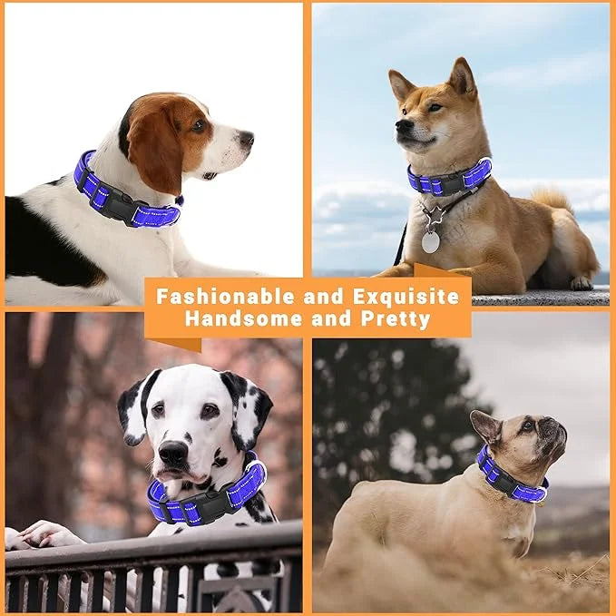 2 Pack Reflective Dog Collar with Safety Locking Buckle, Adjustable Soft Breathable Comfortable Nylon Pet Collar for Small...