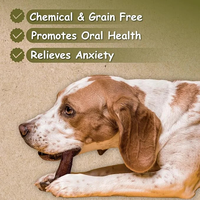 Top Dog Chews - Thick 12 Inch Bully Sticks, 100% Natural Beef, Free Range, Grass Fed, High Protein, Supports Dental Health...