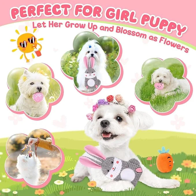 Zeaxuie Pink Puppy Toys for Teething, 9 Pack Small Dog Toys with Cute Puppy Chew Toys, Squeaky Crinkle Dog Toys, Treat Bal...