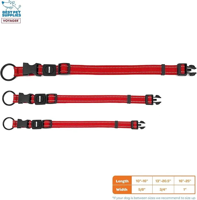 Best Pet Supplies Reflective Dog Collar with Adjustable Length, Heavy-Duty Buckle, and Strong Leash D-Ring, Training, Walk...
