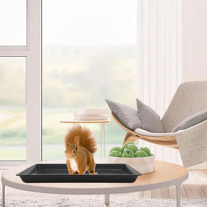 POPETPOP Plastic Pet Cage Base Tray Replacement Poop Tray for Cat Dog and Cages Accessory for Easy Cleaning and Management...