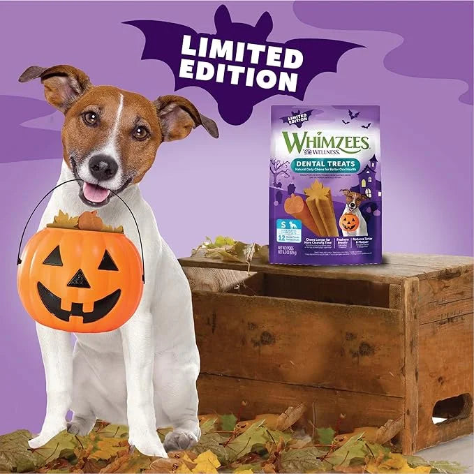 Whimzees by Wellness Halloween Natural Dental Chews for Dogs, Long Lasting Treats, Grain-Free, Freshens Breath, Small Bree...