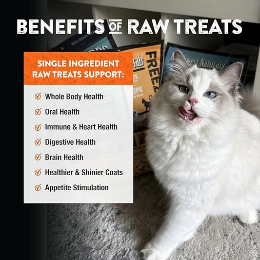 Northwest Naturals Raw Rewards Freeze-Dried Salmon Treats for Dogs and Cats - Bite-Sized Pieces - Healthy, 1 Ingredient, H...