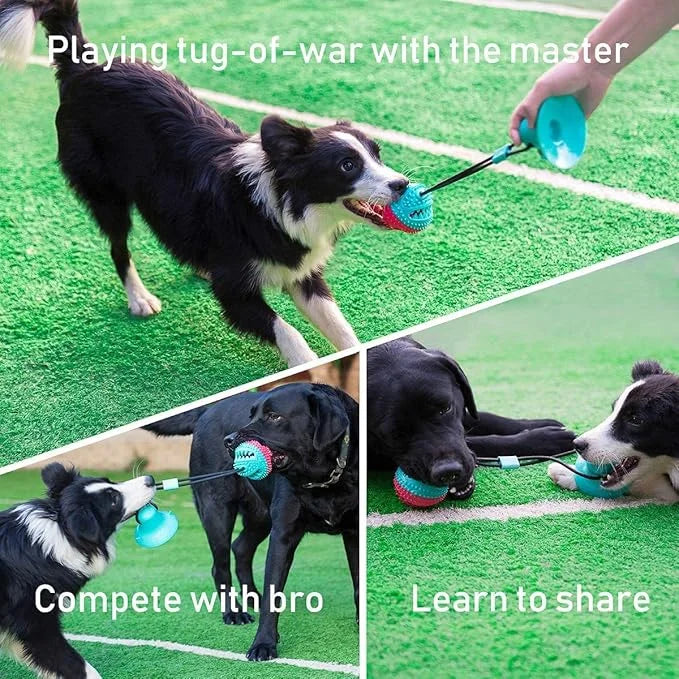 Interactive Dog Toys Tug of War, Mentally Stimulating Toys for Dogs, Puppy Teething Toys for Boredom to Keep Them Busy, Do...