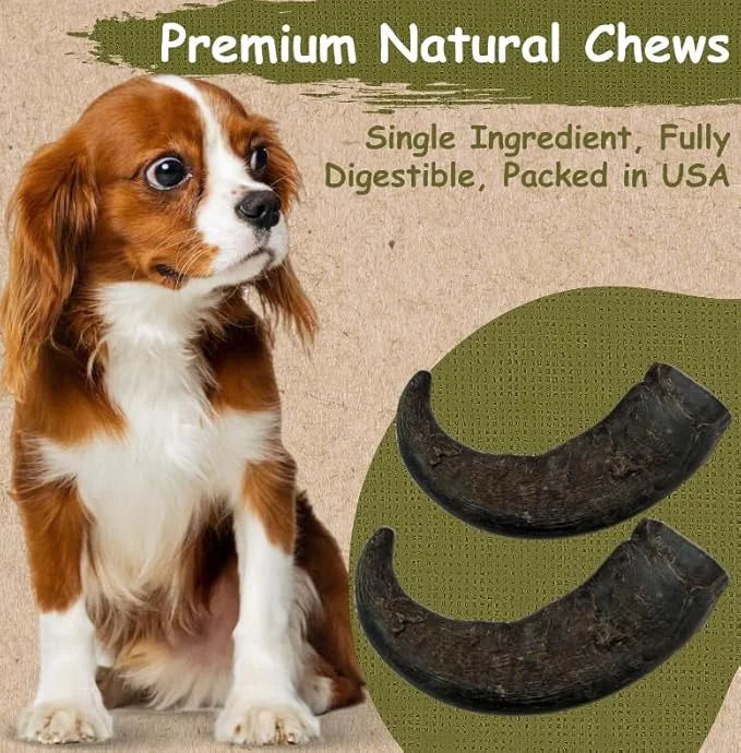 Top Dog Chews – Water Buffalo Horn, Long Lasting Dog Chew for Aggressive Chewers, All Natural, Dog Bone for Large & Medium...