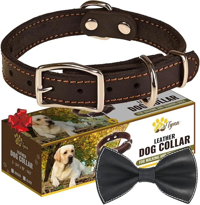 Heavy Duty Black Leather Dog Collar - Soft and Strong Dog Collar for Puppy or Small Dogs (Small: Fit 10" - 14.5" Neck, Bla...