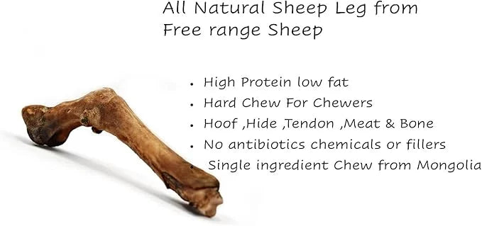 Chews Dried Sheep Legs 2 pcs. - Product Image