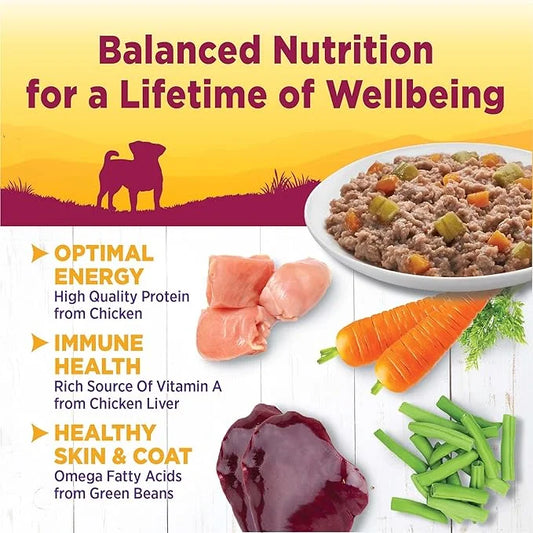Wellness Petite Entrées Casserole with Tender Chicken, Green Beans & Carrots, 3-Ounce Cup (Pack of 12) - Product Image