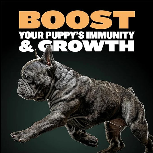 Bully Max Wet Puppy Food - Instant Fresh Dehydrated High Protein Soft Dog Food with Chicken - Healthy Growth for Small & L...
