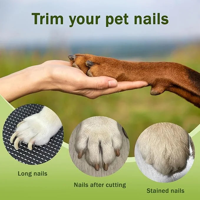 2-in-1 Dog Nail Grinder & Dog Nail Clippers Trimmers for Large Medium Small Dogs Cats Pets Claw Trimmer with LED Lights (P...