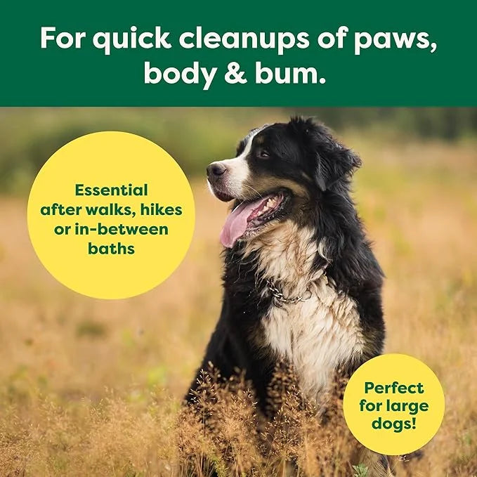 Earth Rated XL Pet Wipes for Dogs & Cats, 3-in-1 Hypoallergenic Cleaning, Deodorizing and Hydrating Extra Large Grooming f...