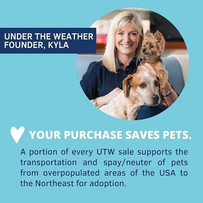 Under the Weather Bland Diet for Dogs | Easy to Digest for Sick Dogs |Always Be Ready| Contains Electrolytes - All Natural...