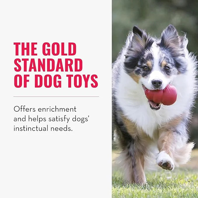 KONG Classic Stuffable Dog Toy - Fetch & Chew Toy for Dogs - Treat-Filling Capabilities & Erratic Bounce for Extended Play...