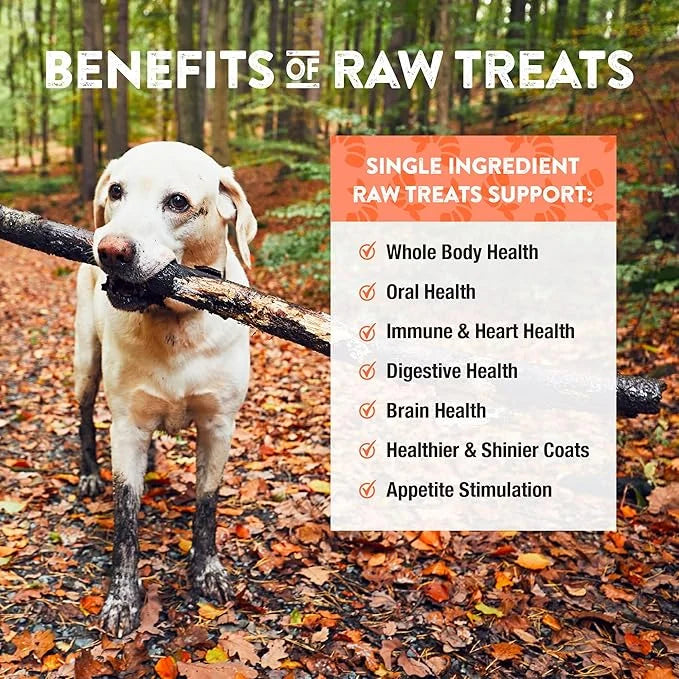 Northwest Naturals Raw Rewards Freeze-Dried Shrimp Treats for Dogs and Cats - Bite-Sized Pieces - Healthy, 1 Ingredient, H...