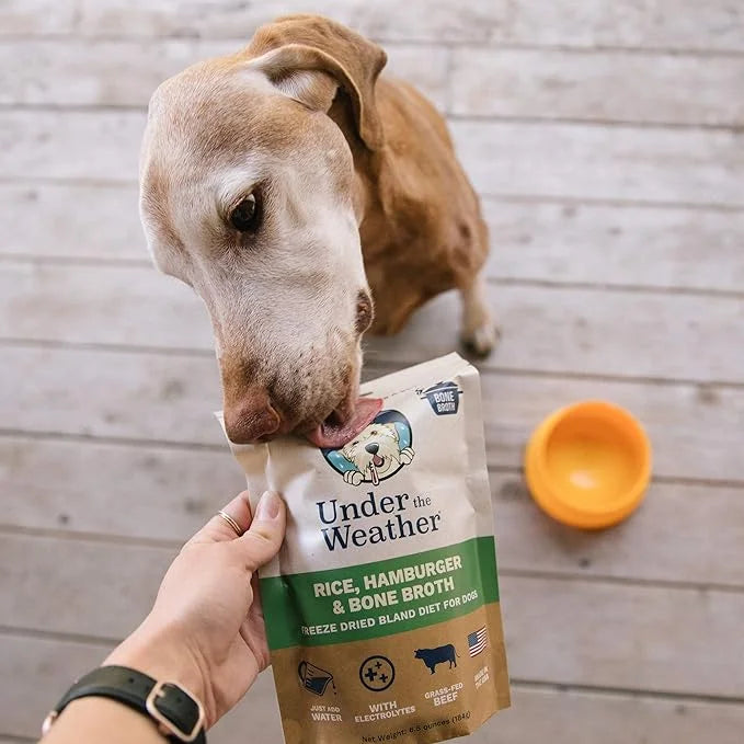 Under the Weather Bland Diet for Dogs | Easy to Digest for Sick Dogs | Always Be Ready | Contains Electrolytes - Natural F...