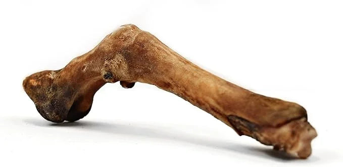 Chews Dried Sheep Legs 2 pcs. - Product Image